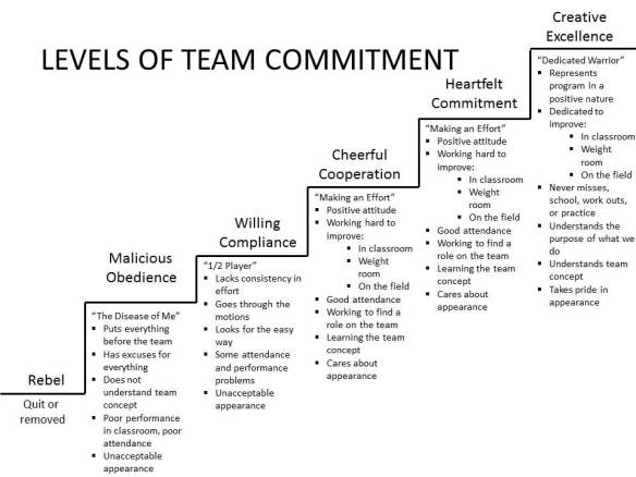 Levels of team commitment